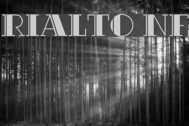 Rialto NF Caratteri examples