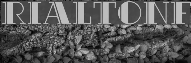 RialtoNF Font examples