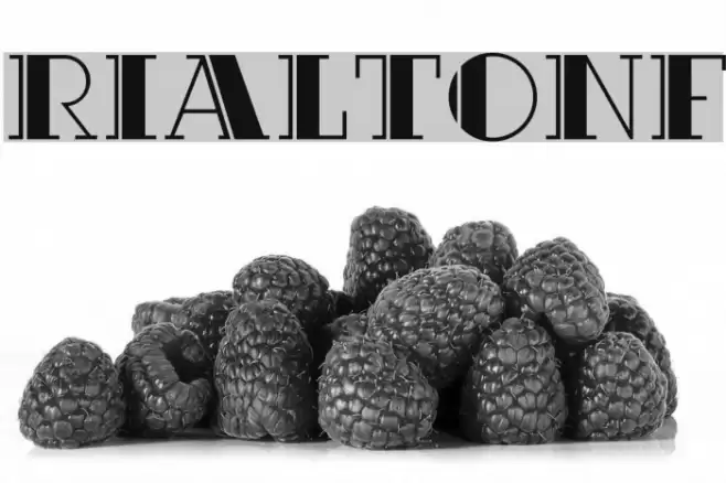 RialtoNF Font examples