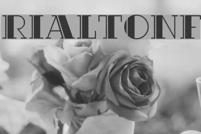 RialtoNF Font examples