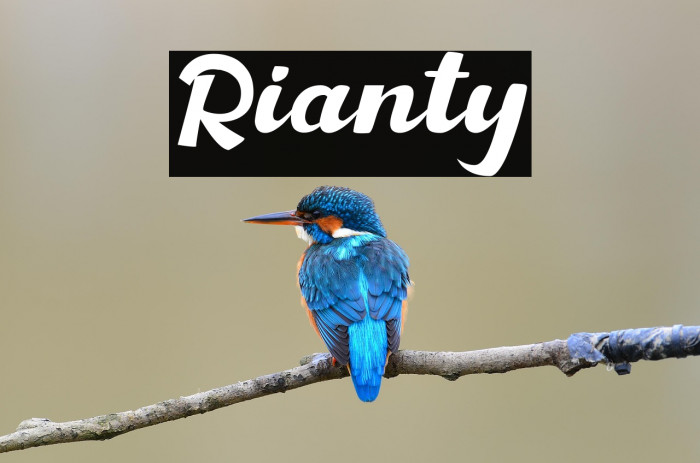 Rianty Example 3