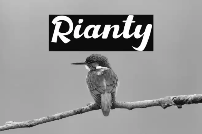 Rianty Font examples