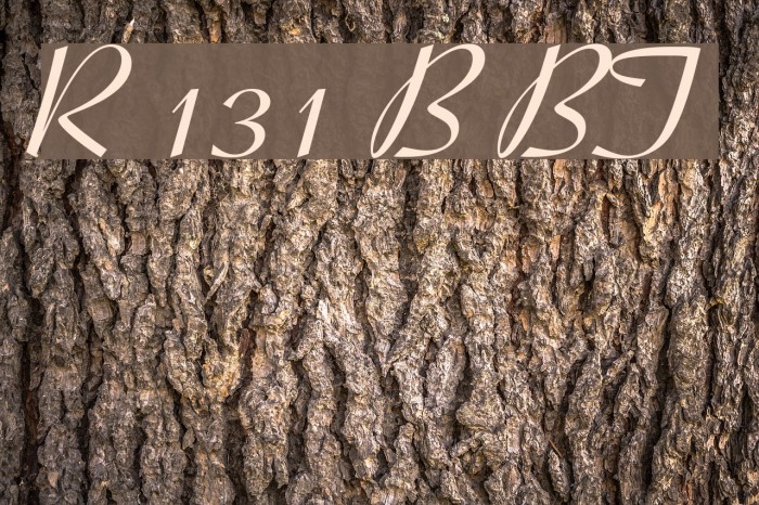 Ribbon 131 Bold BT Example 3