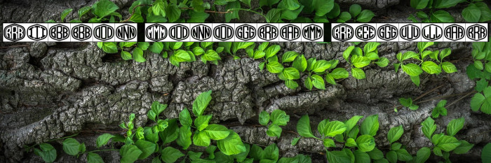 Ribbon Monogram Regular Example 1