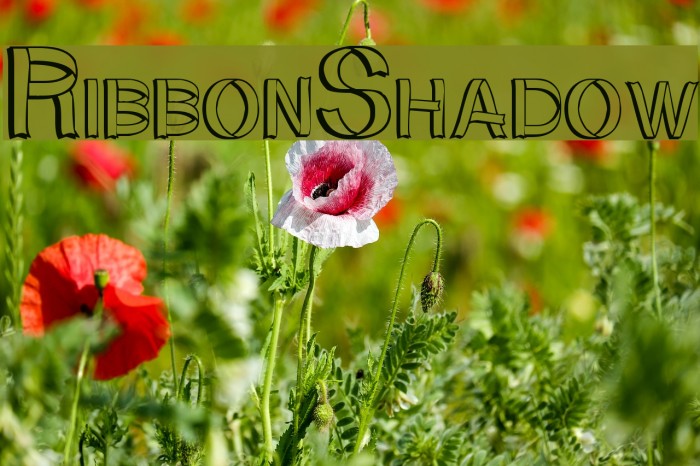 RibbonShadow Font examples