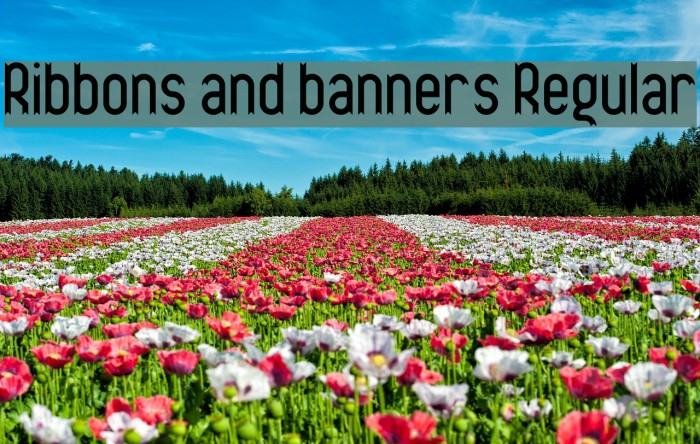 Ribbons and banners Regular Font examples