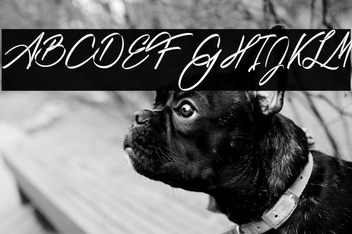 Ribbons in the wind Example 2