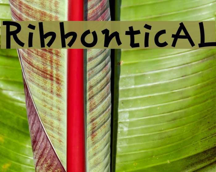 RibbonticAL Example 3