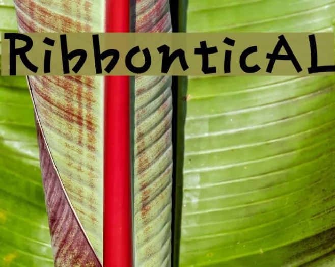 RibbonticAL Example 3