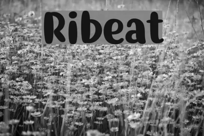 Ribeat Font examples