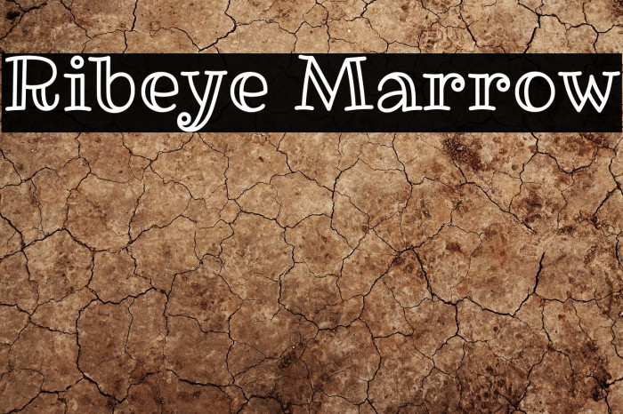 Ribeye Marrow Font examples