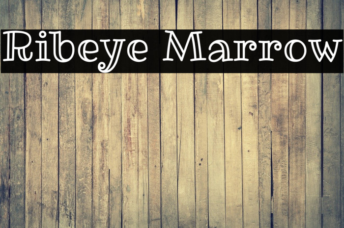 Ribeye Marrow Font examples