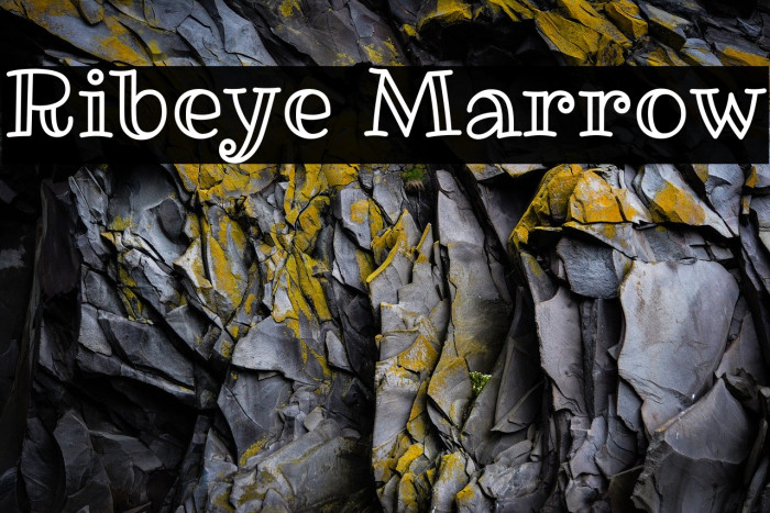 Ribeye Marrow Font examples