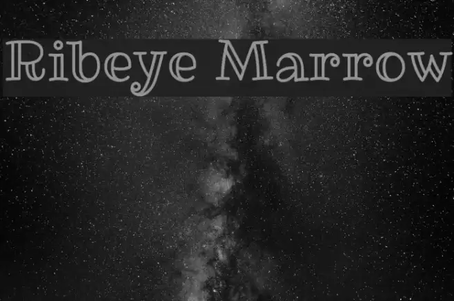 Ribeye Marrow Font examples