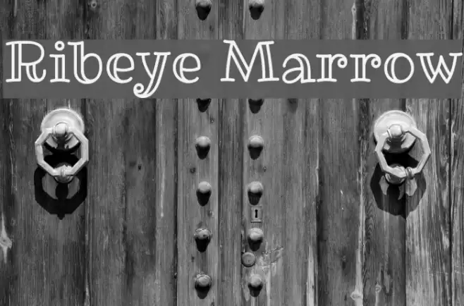 Ribeye Marrow Font examples