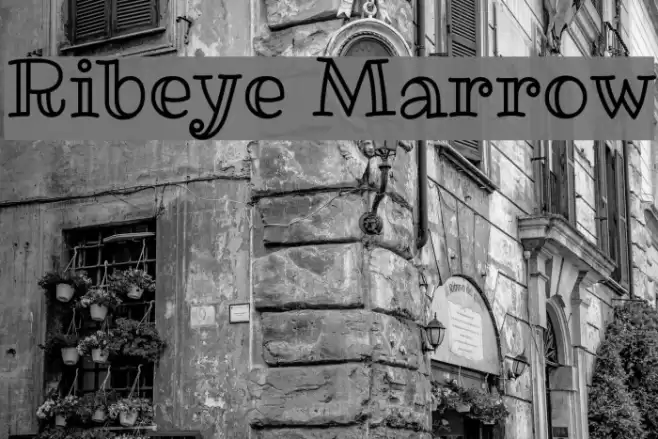 Ribeye Marrow Font examples