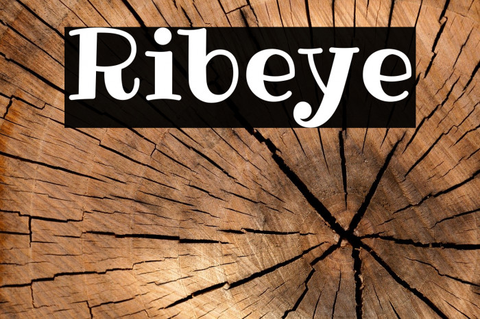 Ribeye Font examples
