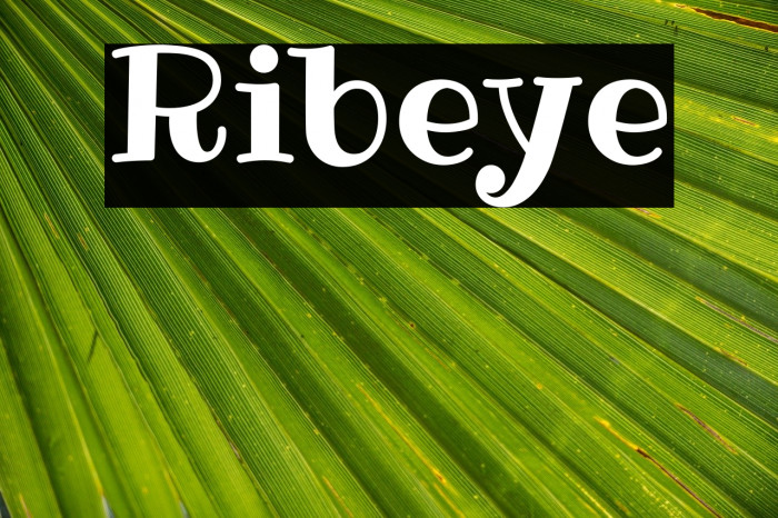 Ribeye Font examples