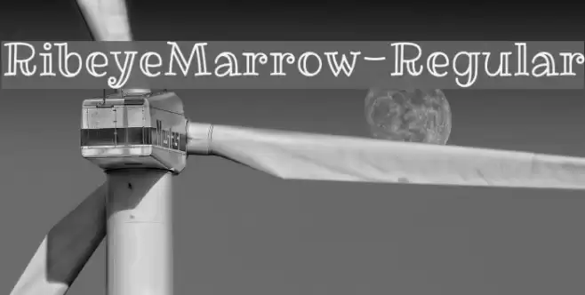 RibeyeMarrow-Regular Font examples