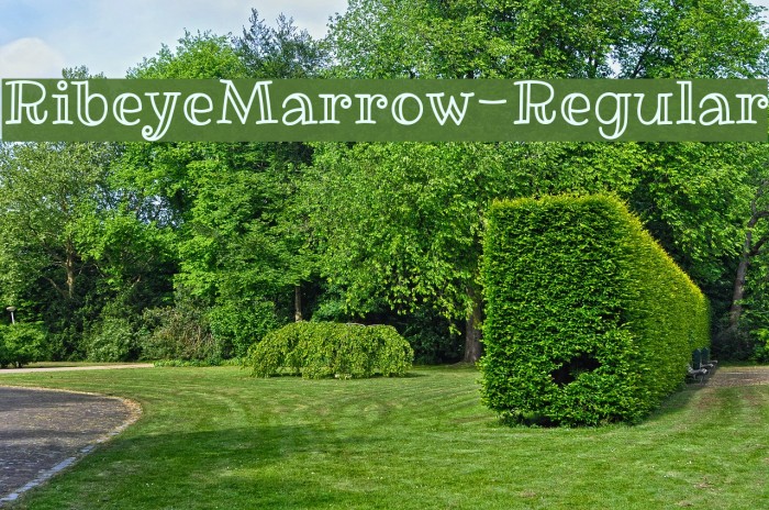 RibeyeMarrow-Regular Font examples