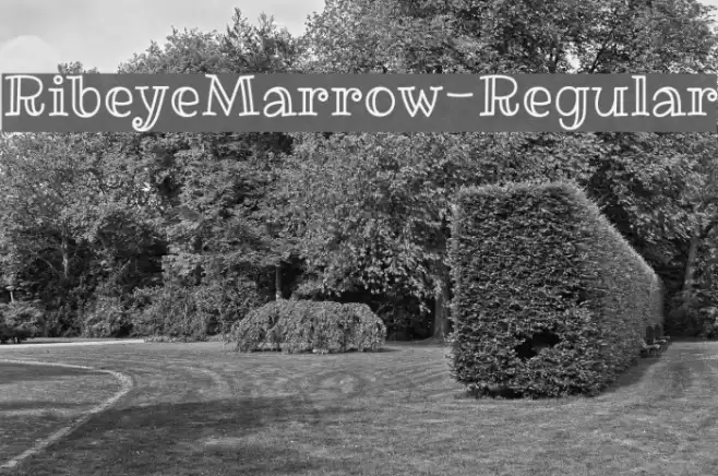 RibeyeMarrow-Regular Font examples