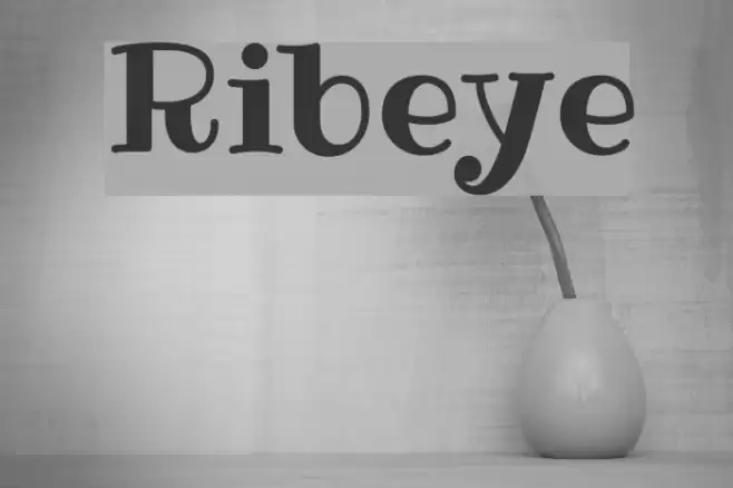 Ribeye Font examples