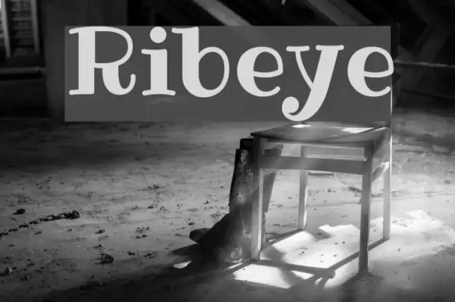 Ribeye Font examples