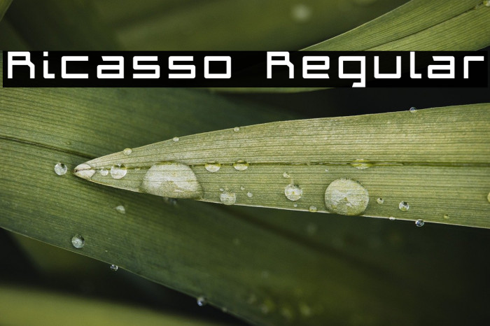 Ricasso Regular Example 2