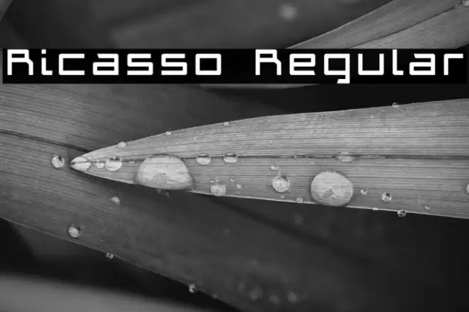Ricasso Regular Font examples