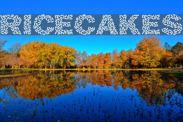 Ricecakes Font examples