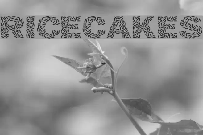 Ricecakes Fuentes examples