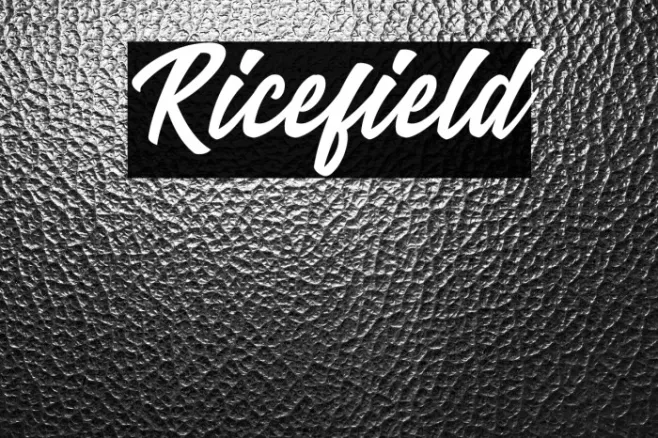 Ricefield Example 1