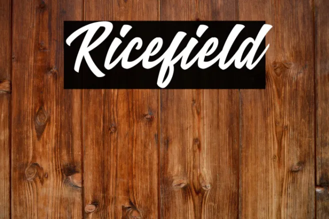 Ricefield Example 2