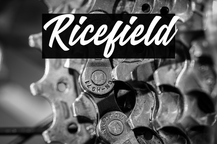 Ricefield Example 3