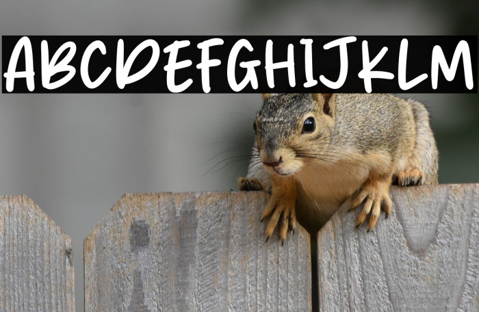 Rich Cheese Example 3