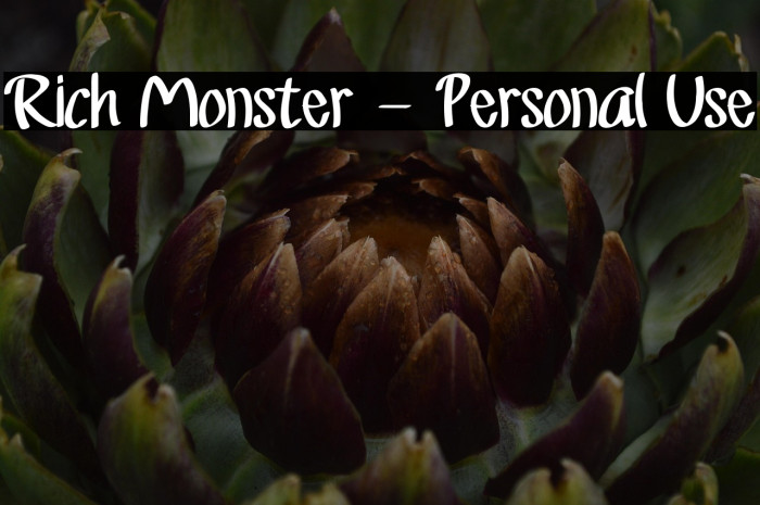 Rich Monster - Personal Use Example 3