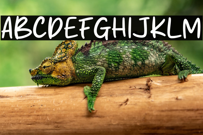 Rich Potato Example 2