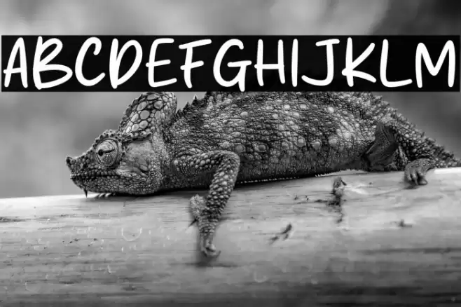 Rich Potato Font examples