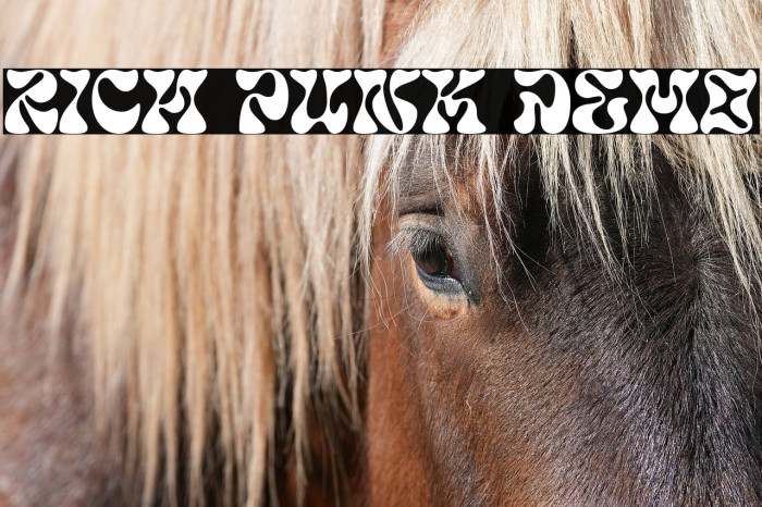 Rich Punk DEMO Example 2