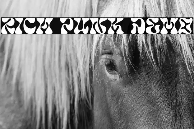 Rich Punk DEMO Caratteri examples