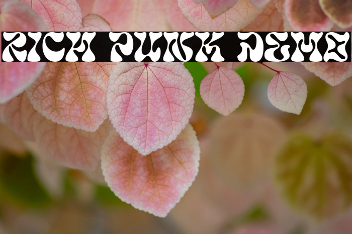 Rich Punk DEMO Example 3