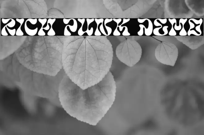 Rich Punk DEMO Caratteri examples