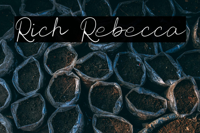 Rich Rebecca Example 2