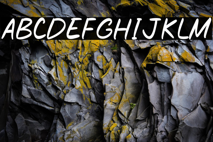 Rich Toasted Example 3