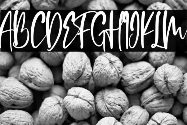 Rich and Famous Font examples