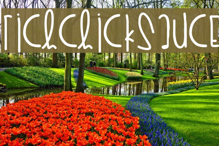 RichChickSauce Font examples