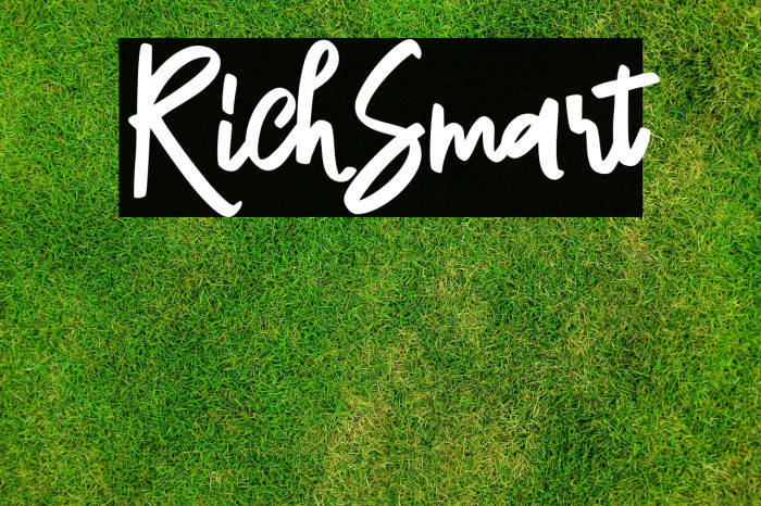 RichSmart Example 1