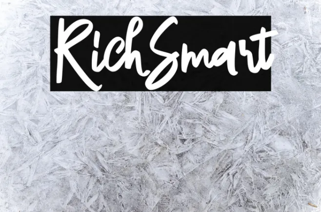 RichSmart Example 3