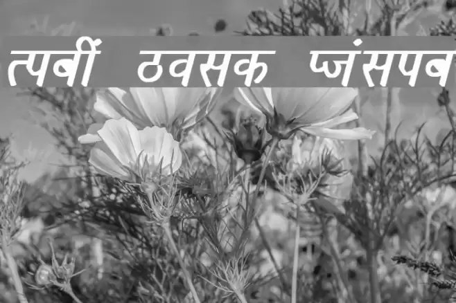 Richa Bold Italic Font examples