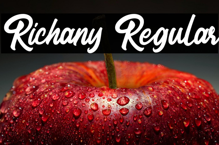 Richany Regular Example 2